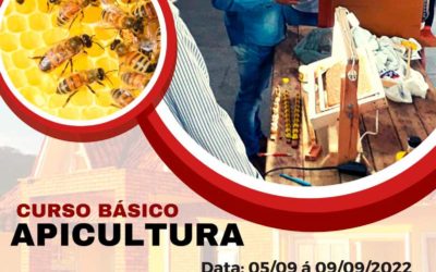 Curso Básico Apicultura